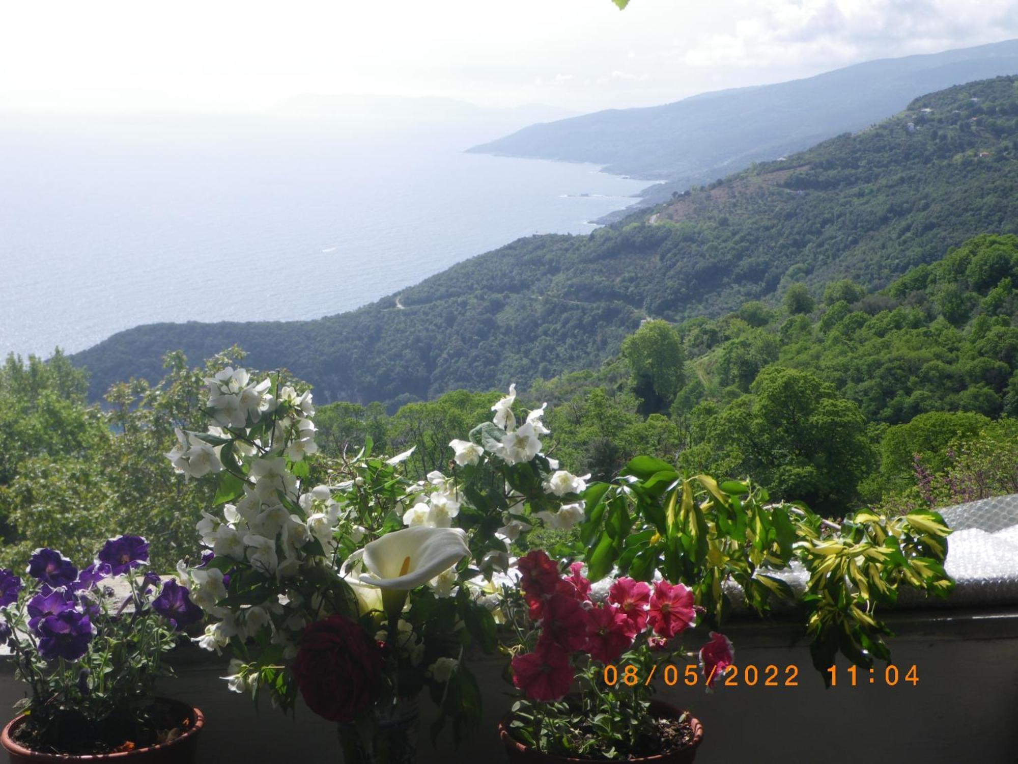 Villa Georgie ซาการาดา ภายนอก รูปภาพ