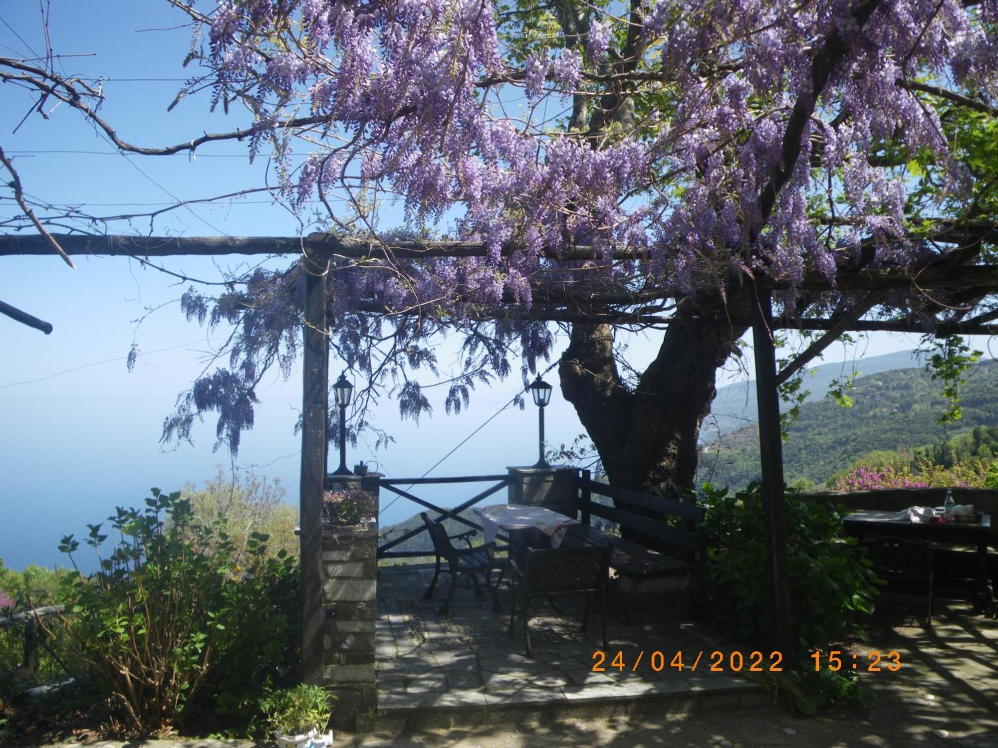 Villa Georgie ซาการาดา ภายนอก รูปภาพ