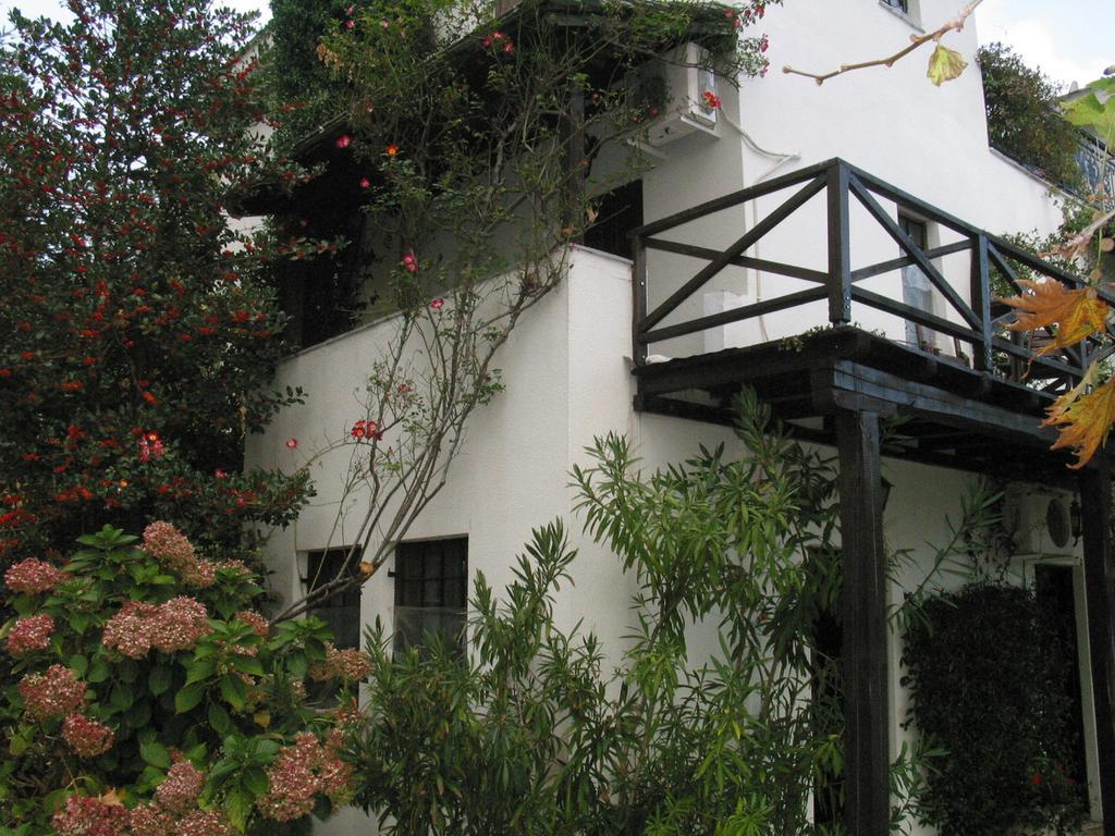 Villa Georgie ซาการาดา ภายนอก รูปภาพ