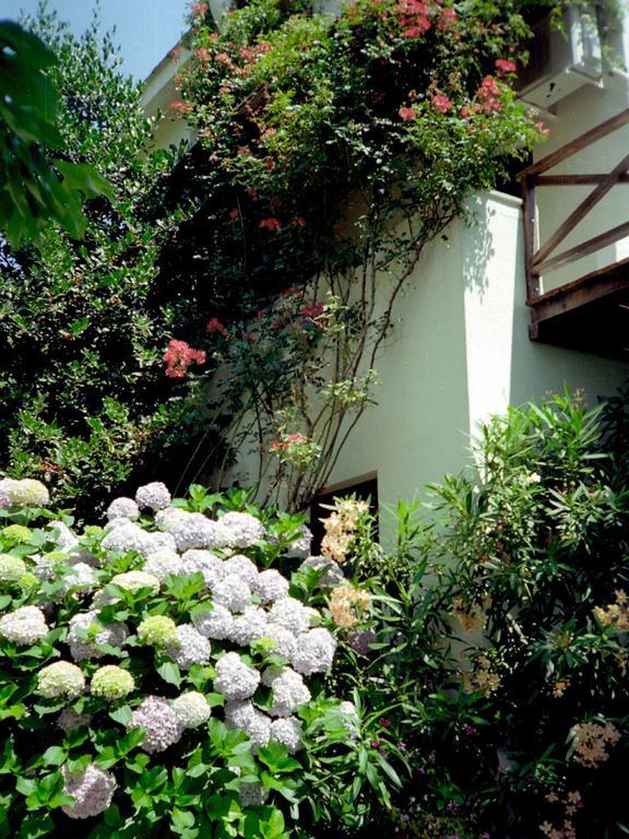 Villa Georgie ซาการาดา ภายนอก รูปภาพ