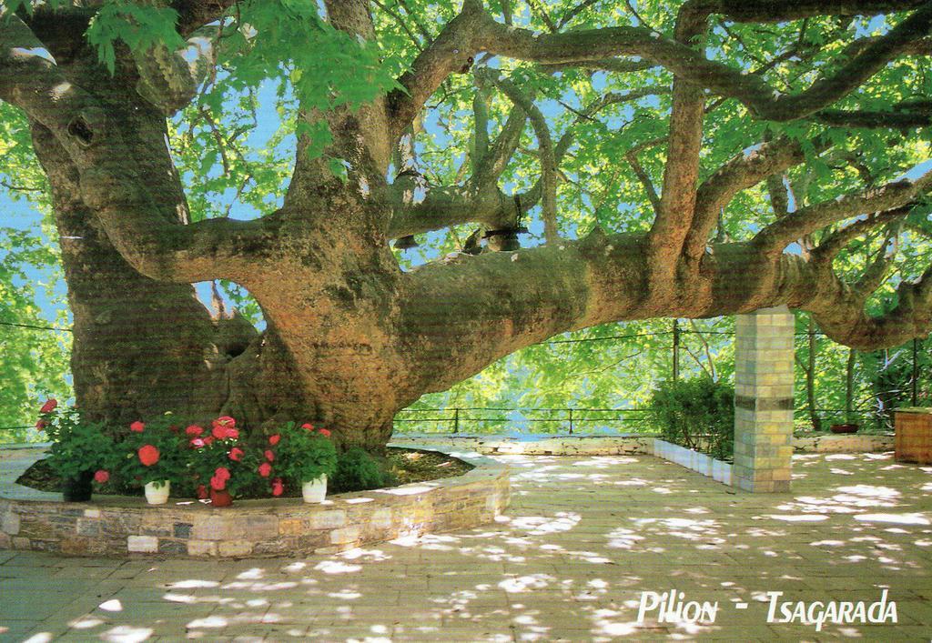 Villa Georgie ซาการาดา ภายนอก รูปภาพ