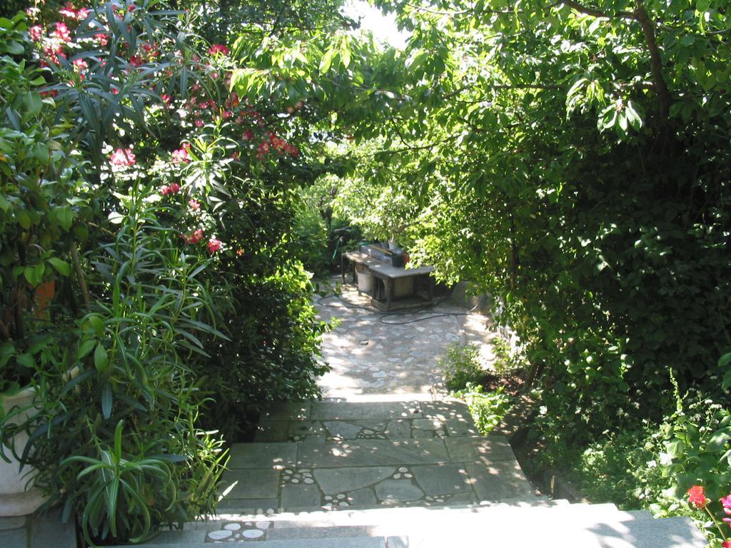 Villa Georgie ซาการาดา ภายนอก รูปภาพ